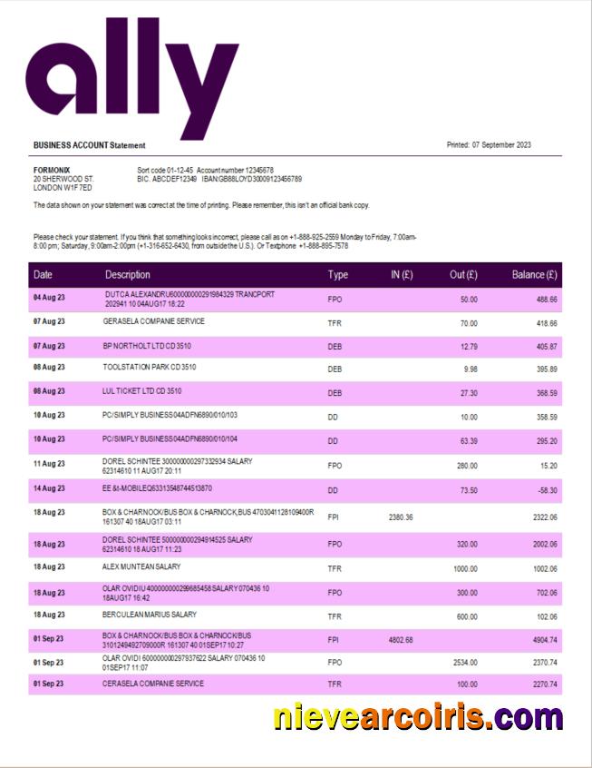 Ally Bank enterprise statement